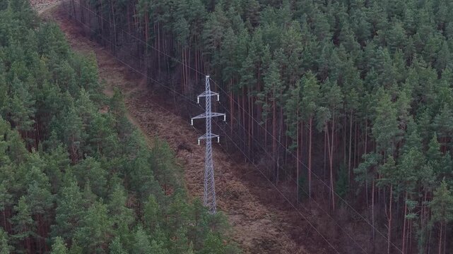 High voltage power lines in middle of Lithuania forest, aerial view