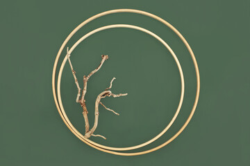 Zen driftwood natural background with round frames. Surreal minimal rustic abstract design for logo, business card, greeting card, label. On green.