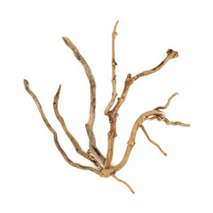 Natural rustic driftwood abstract design on white. Textured irregular shape wood decoration. 