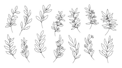 Collection of hand drawn botanical branch and leaf elements © MARS