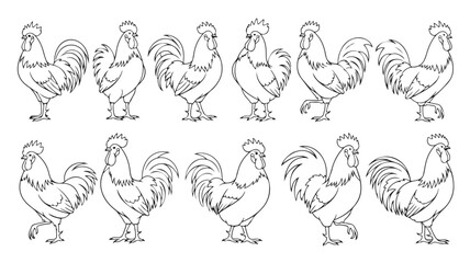 Collection of ten different rooster line art drawings © MARS