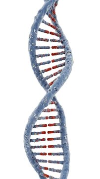Abstract Blue DNA Helix Structure 3D Animation Loop Footage