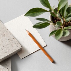 eco-inspired branding mockup with plant and pencil