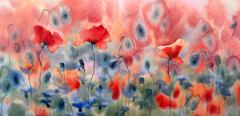 Red poppies field with blue cornflower abstract watercolor background