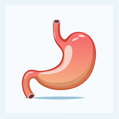 Isolated Cartoon Illustration of Human Stomach Organ Anatomy for Digestive Health Concepts