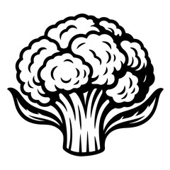 Fototapeta premium Stylized dark grey broccoli or cauliflower vector icon, a modern minimalist illustration with an elegant embossed effect. Perfect for healthy food branding, organic logos, and wellness app graphics
