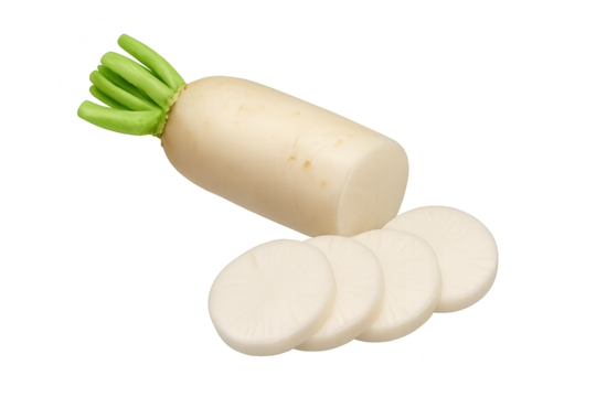 Fresh white daikon radish with green tops and round sliced pieces on transparent background