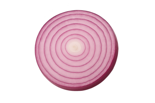 Cross-section of red onion, showing concentric rings in purple and white