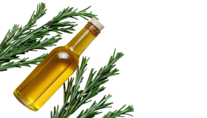 A tilted glass bottle filled with yellow liquid, cork stopper, surrounded by rosemary sprigs, angled view. pure white background
