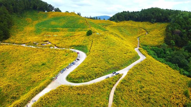 Aerial view of the Dok Bua Tong flower field at Doi Mae U Kho in Mae Hong Son, Thailand