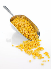 fava beans in a metallic scoop