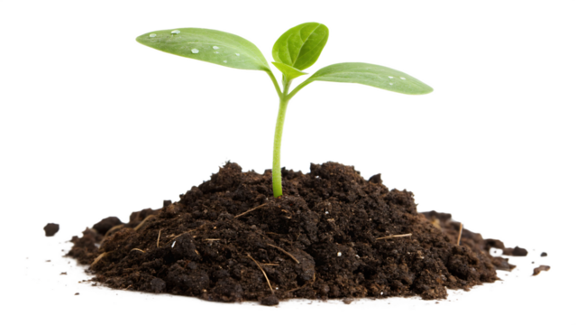 Vibrant green seedling emerging from rich dark soil - Powered by Adobe