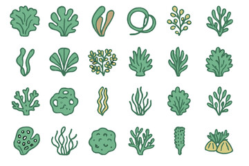 Hand-drawn seaweed and coral icons on green gradient background