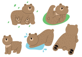 bear set2
