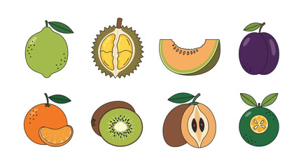 Assortment of colorful fruits lemon durian melon plum tangerine kiwi loquat orange