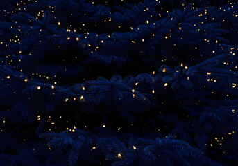 dark blue christmas fir tree background with golden glowing lights