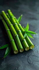 Obraz premium Vibrant green bamboo stalks with fresh leaves on a dark textured background, symbolizing growth and tranquility.