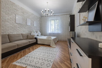 Bright Cozy Bedroom Living Room with Sofa Bed and Modern Furniture