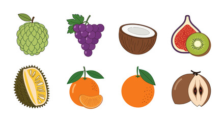 Assortment of vibrant fruits in a colorful vector illustration on white background