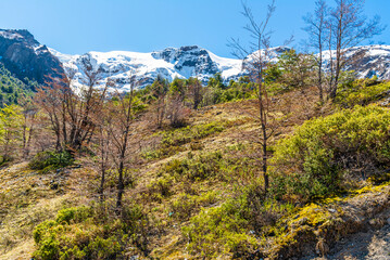 Black Snowdrift, Ventisquero, Cerro Tronador, Bariloche, Rio Negro Province, Patagonia, Argentina