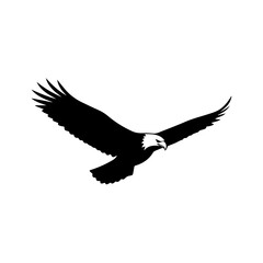 Soaring Silhouette Majestic Eagle in Flight, Symbol of Freedom and Power