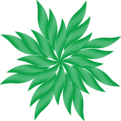 Black and White Floral Ornament Mandala Design Vector