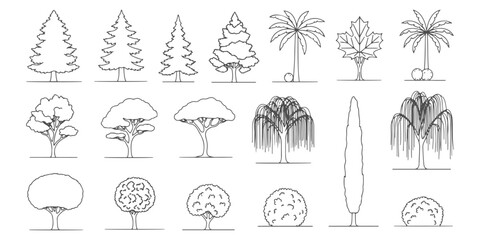 CAD Drawings. Side view of different tress. Vector illustration.