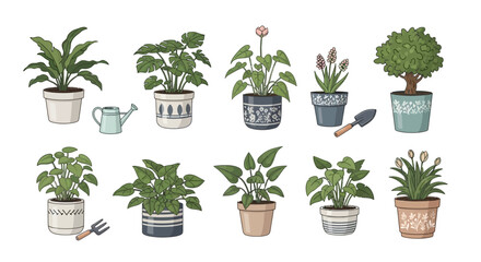 Collection of various houseplants in decorative pots and planters with gardening tools