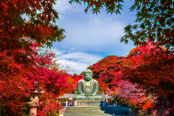 Daibutsu or Great Buddha of Kamakura in Kotokuin Temple at Kanagawa Prefecture Japan with leaves...