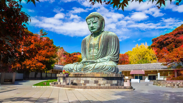 Daibutsu or Great Buddha of Kamakura in Kotokuin Temple at Kanagawa Prefecture Japan with leaves changing color It is an important landmark and a popular destination for tourists and pilgrims.