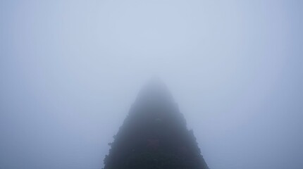 Christmas Tree in Thick Fog Seen from Low Angle with Dramatic Low Visibility