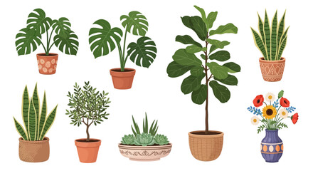 Collection of various potted houseplants and flowers, showcasing a variety of textures and colors