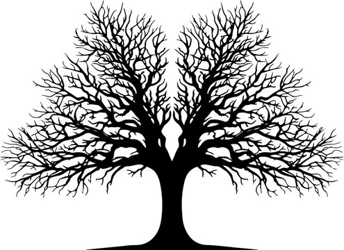 Black bare tree vector silhouette, leafless tree icon