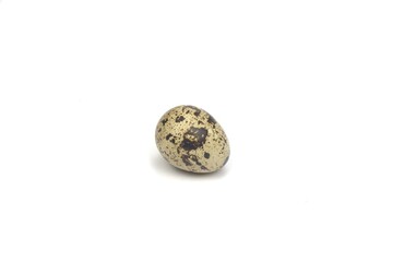 Nice small quail egg isolated on white background