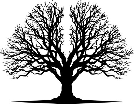 Bare tree, black silhouette, vector tree icon, leafless tree