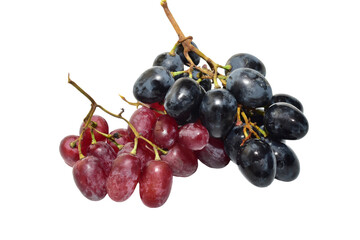 Bunches of two grape varieties, blue and red, lie on a PNG background.