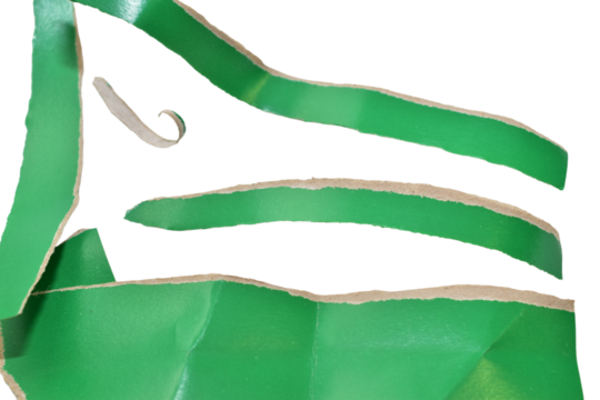 Strips and pieces of hand-torn green cardboard lie on a PNG background.
