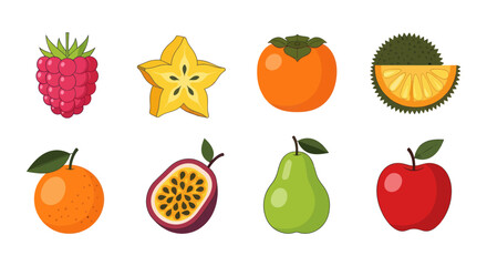 Assortment of colorful fruits in isolated vector illustrations