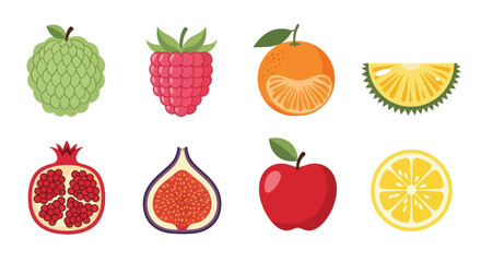 Assortment of colorful fruits vector illustration on white background