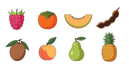 Assortment of colorful fruits vector illustrations for design and decor