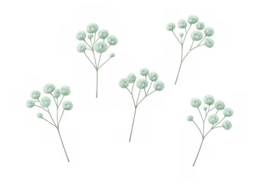 Delicate baby's breath flowers illustration, small white floral sprigs for wedding design, transparent background - Powered by Adobe