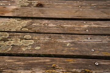 Obraz premium Rich, dark brown wood texture displaying a pronounced grain, knots, and white metal screws. Ideal as a natural background for themes of aging, construction, or rustic design and copy space.