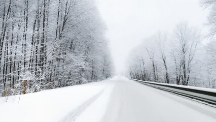 winter road in the forest