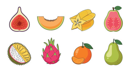 Assortment of vibrant illustrated fruit slices and whole pieces on white