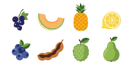 Assortment of vibrant vector fruits isolated on white background for design