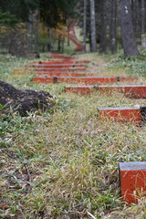 御射鹿池の紅葉