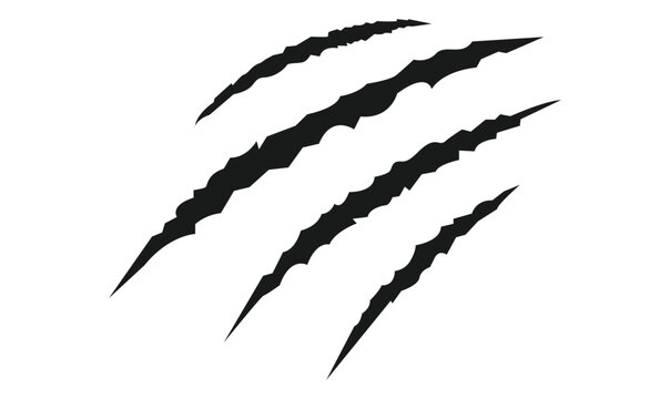 Animal silhouette claw paw marks, tiger, dog, lion, monster, scratches, talons cuts cat, tiger, isolated on transparent background. Vector	illustration.