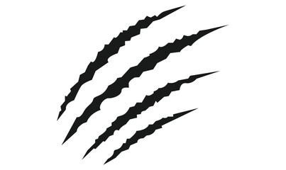 Animal silhouette claw paw marks, tiger, dog, lion, monster, scratches, talons cuts cat, tiger, isolated on transparent background. Vector illustration. © Savita