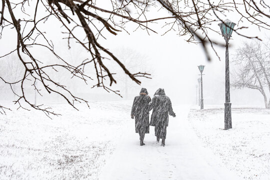 Two silhouettes of people in warm coats walk away along a snowy alley in the city park during a heavy winter blizzard snowstorm framed by dark bare tree branches and vintage street lamps - Powered by Adobe