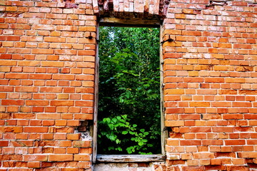 Fenêtre ouverte sur le jardin. Maison en brique rouges en ruine;